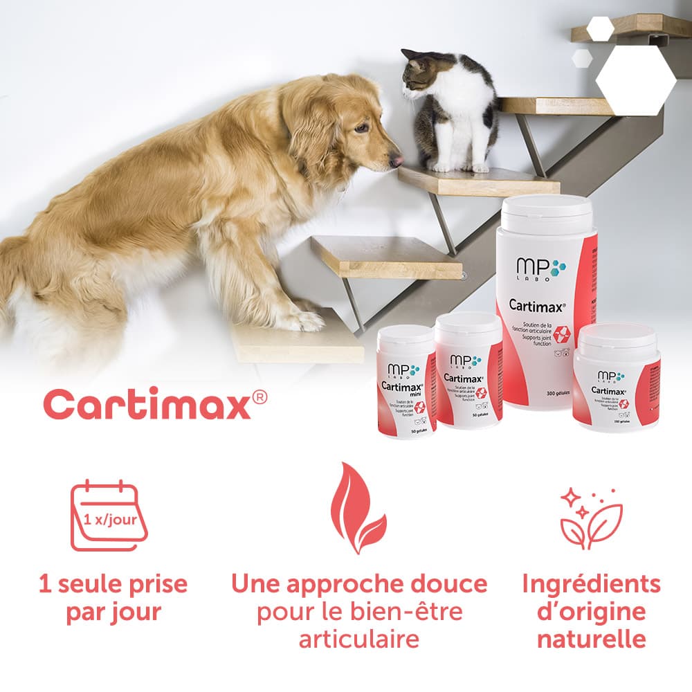 Cartimax®