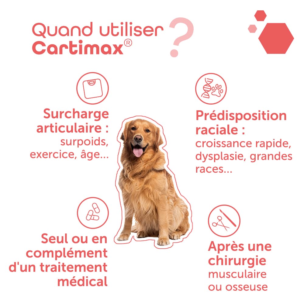Cartimax®