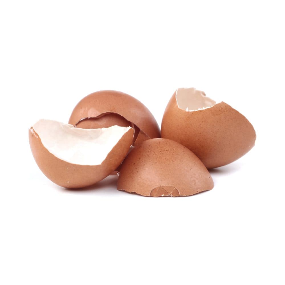 Eierschaalmembraan