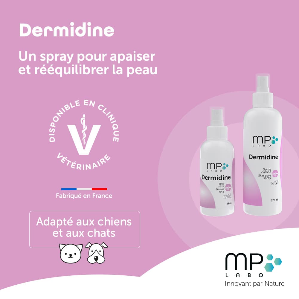 Dermidine®