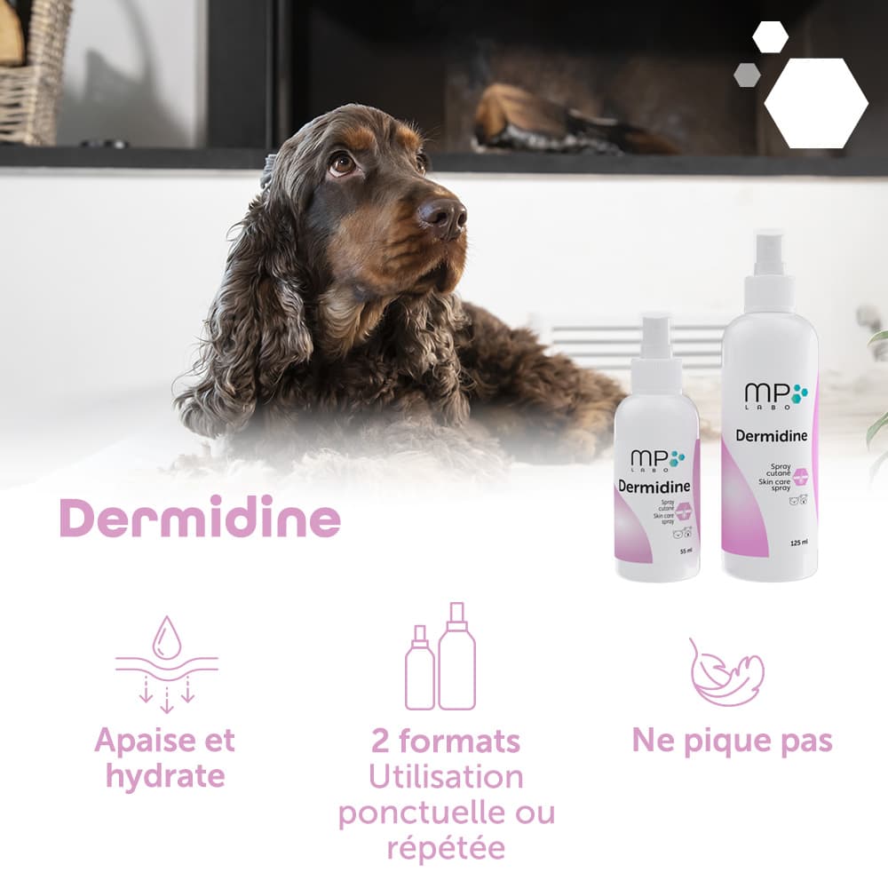 Dermidine®
