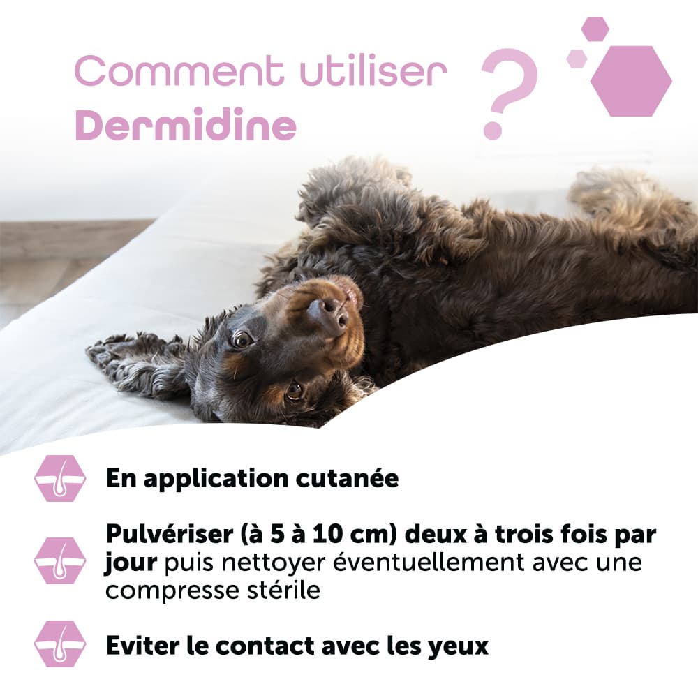 Dermidine®