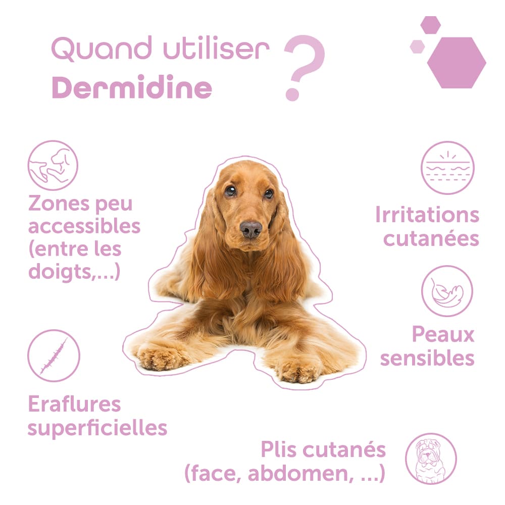 Dermidine®
