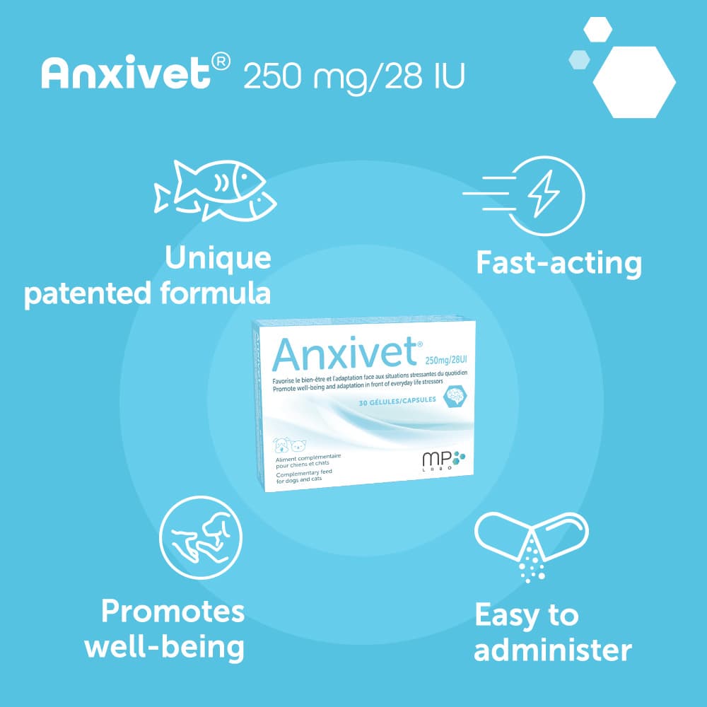 Anxivet® 250mg and 500mg