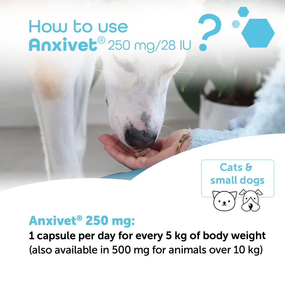 Anxivet® 250mg and 500mg