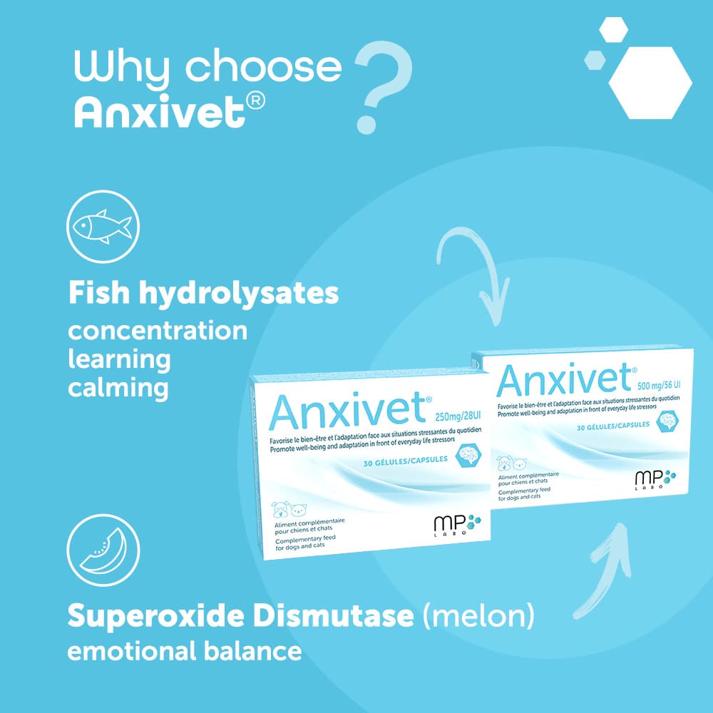 Anxivet® 250mg and 500mg