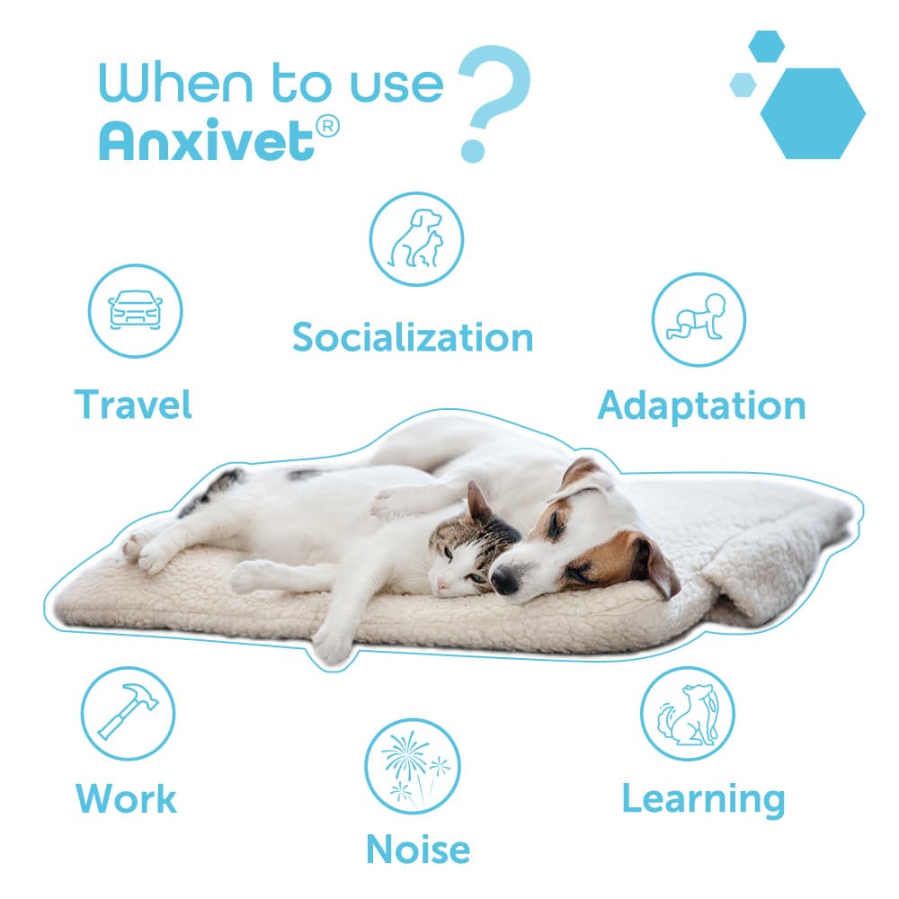 Anxivet® 250mg and 500mg