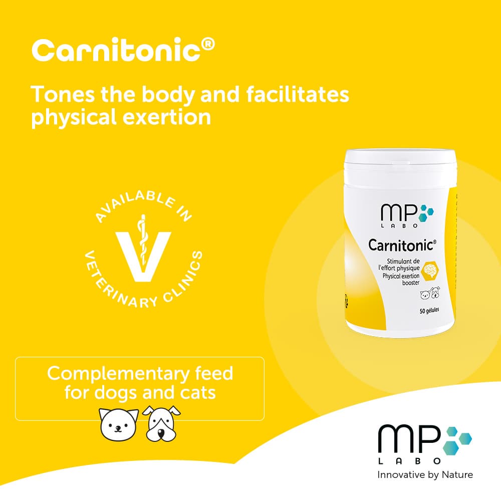 Carnitonic®