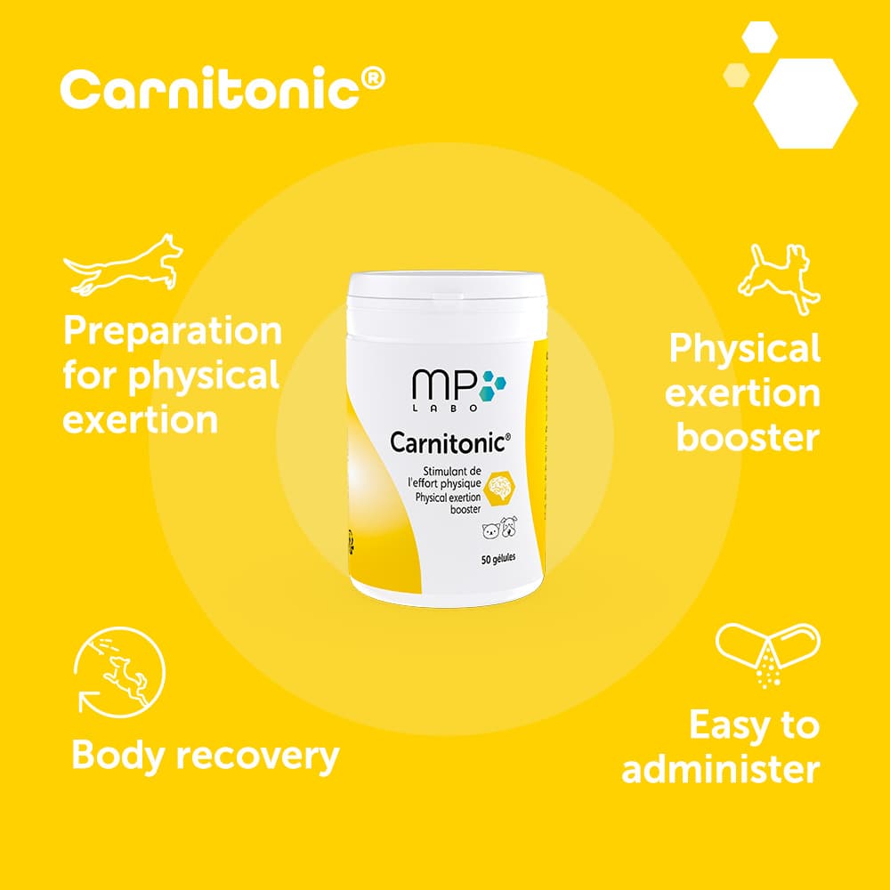 Carnitonic®