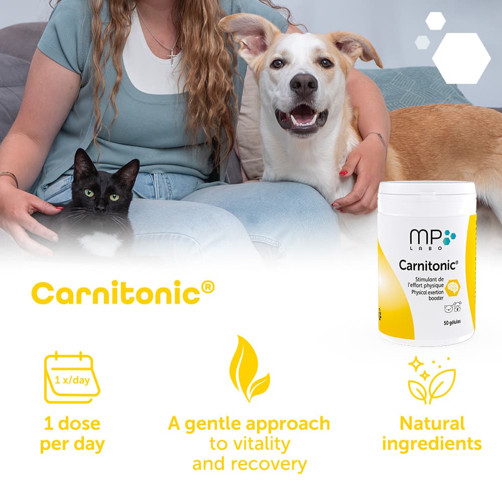 Carnitonic®