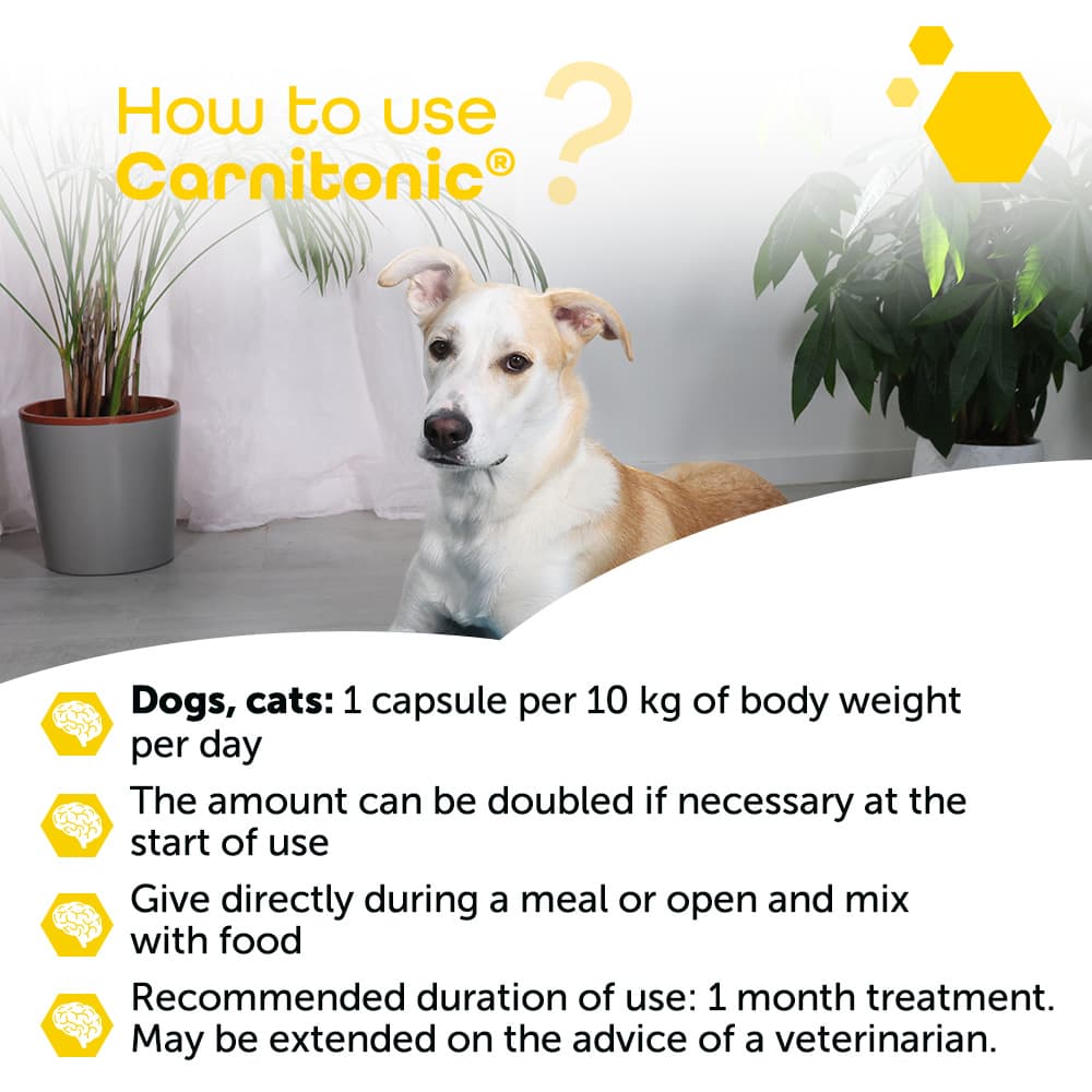 Carnitonic®