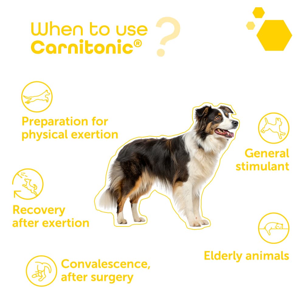Carnitonic®