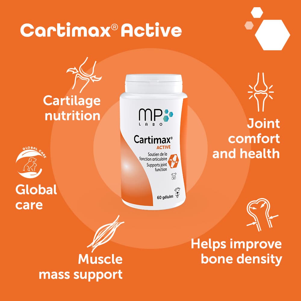 Cartimax® Active
