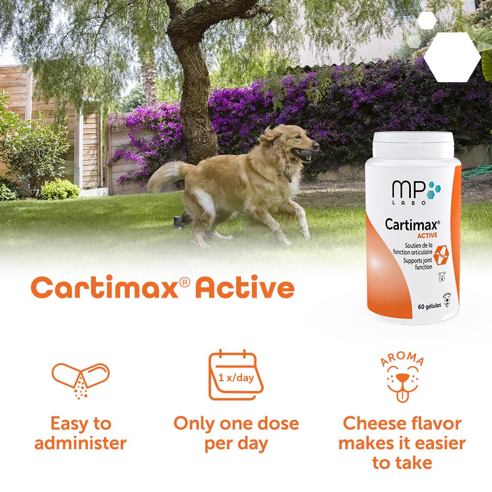 Cartimax® Active