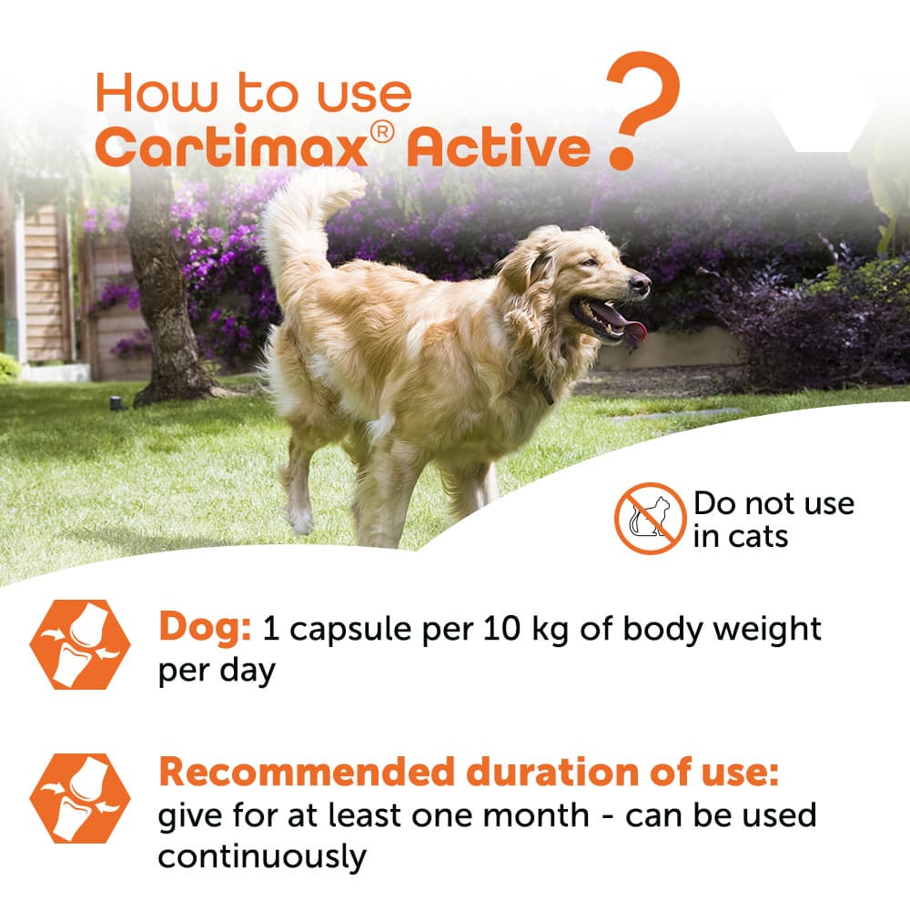 Cartimax® Active