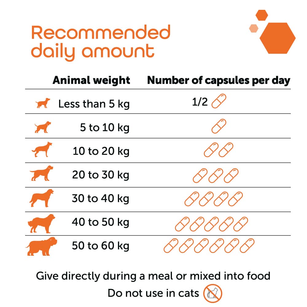 Cartimax® Active