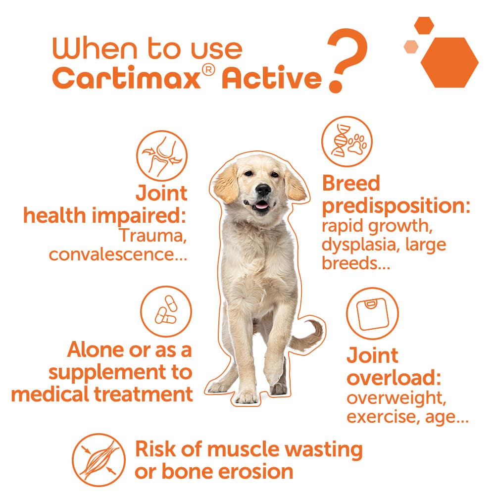 Cartimax® Active