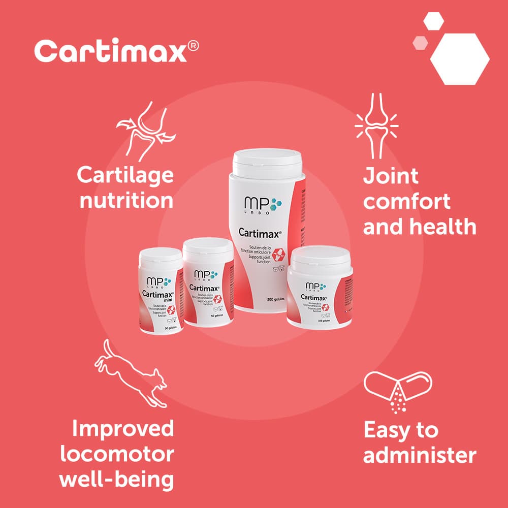 Cartimax®