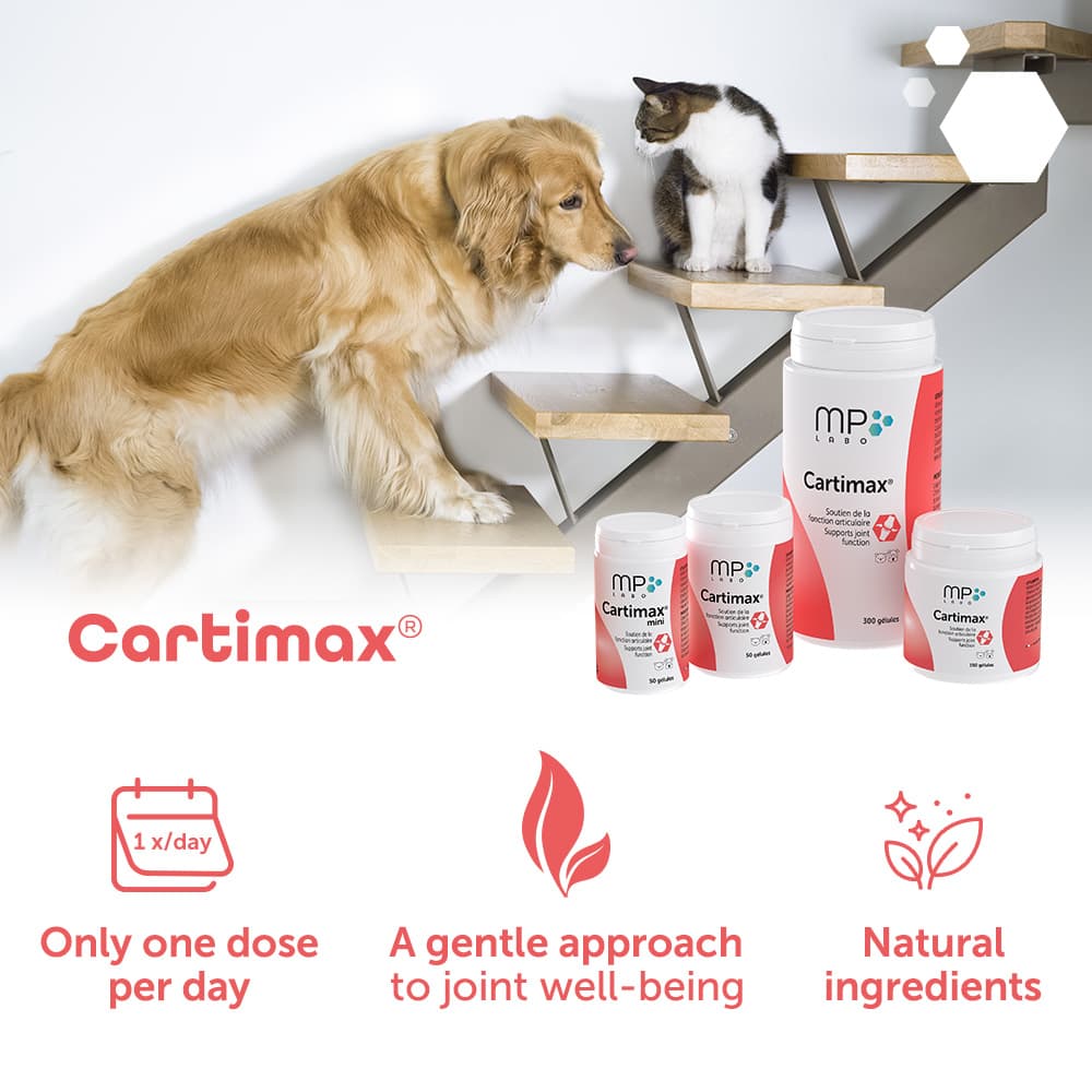 Cartimax®