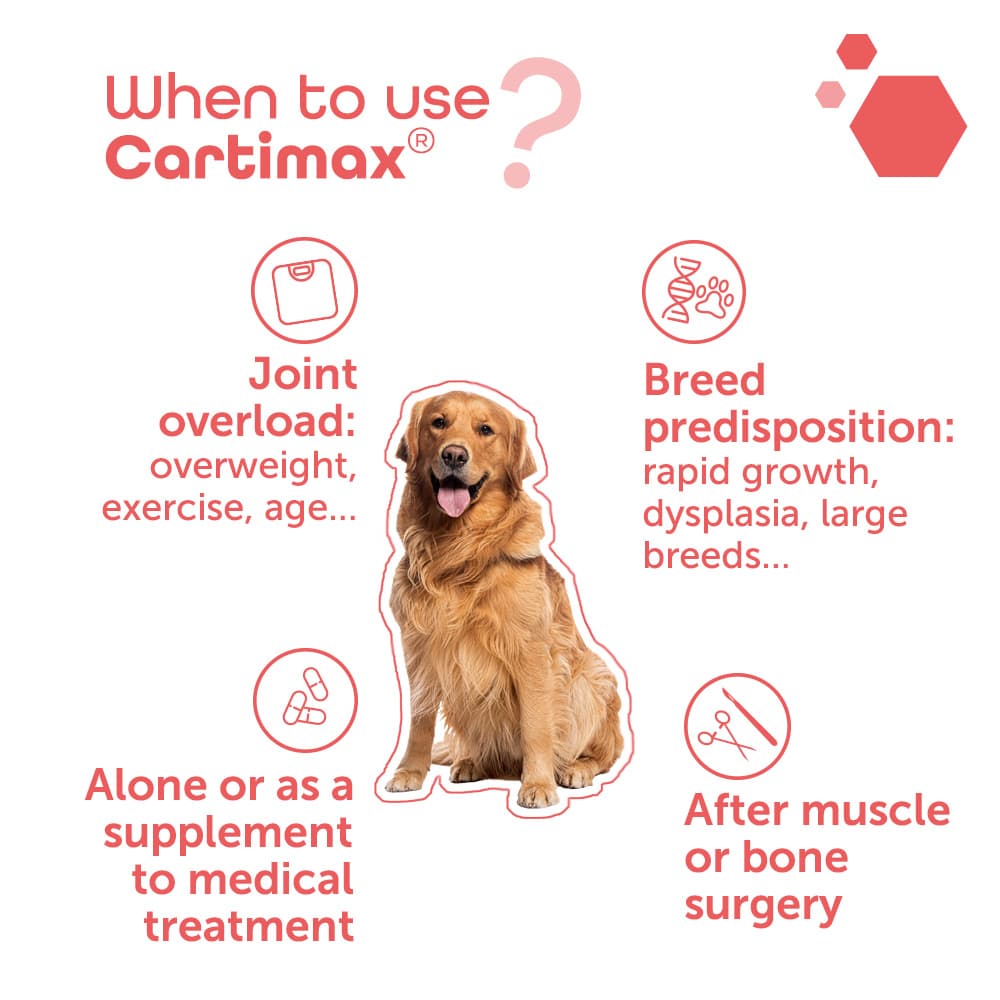Cartimax®