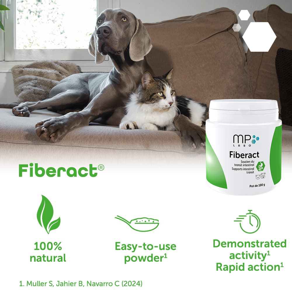Fiberact®