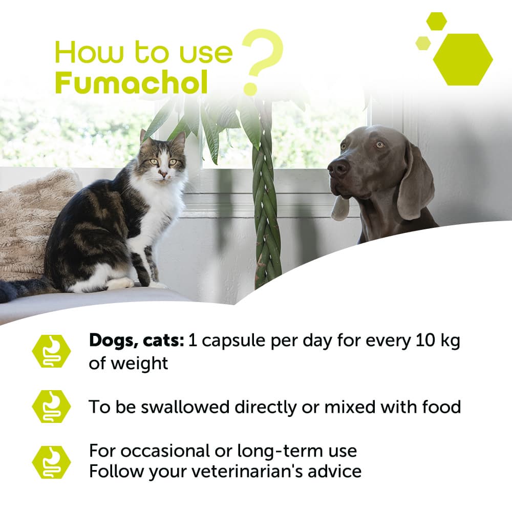 Fumachol®