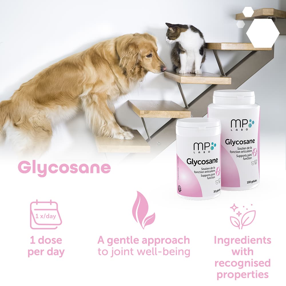 Glycosane®