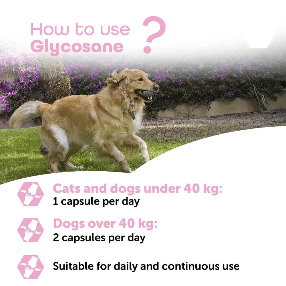 Glycosane®