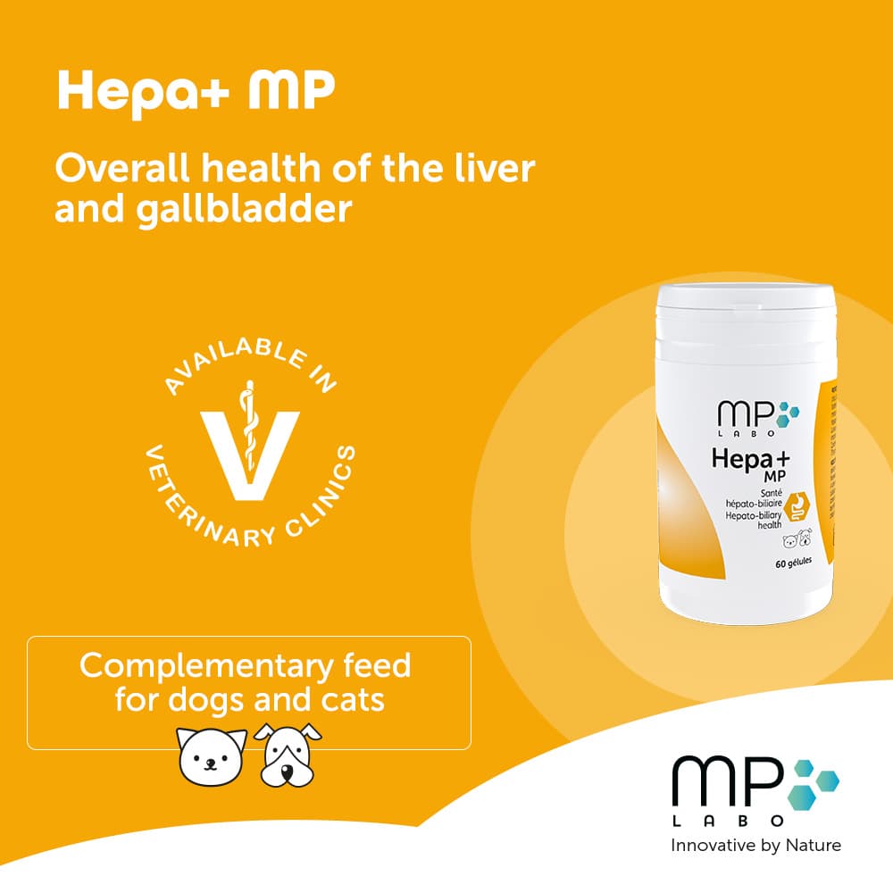 Hepa+® MP