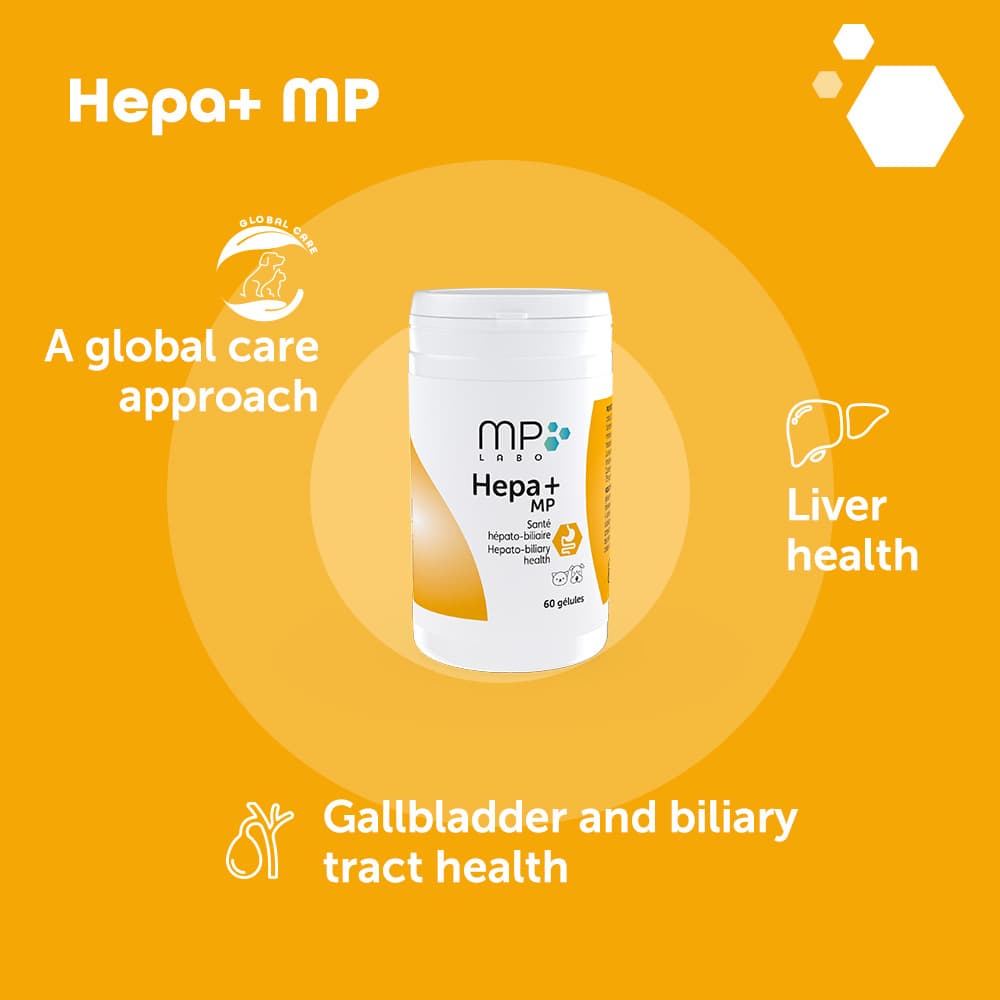 Hepa+® MP