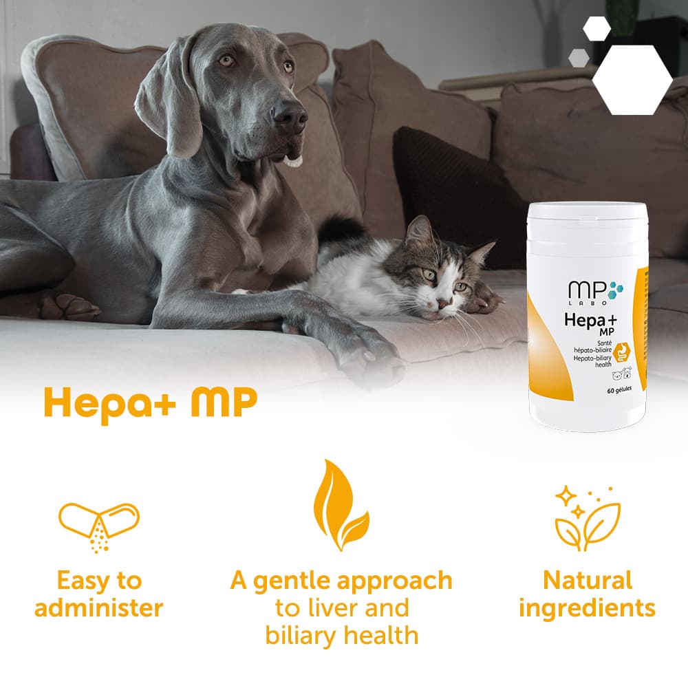 Hepa+® MP