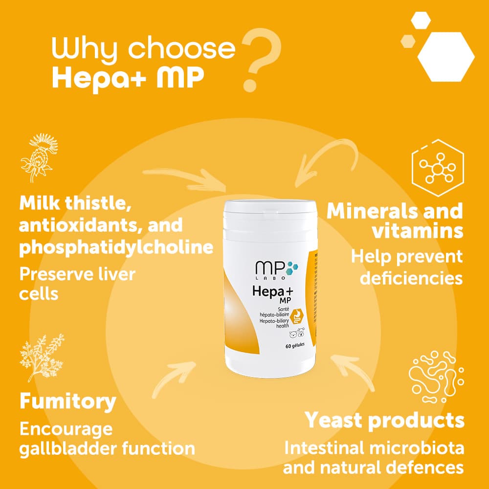 Hepa+® MP