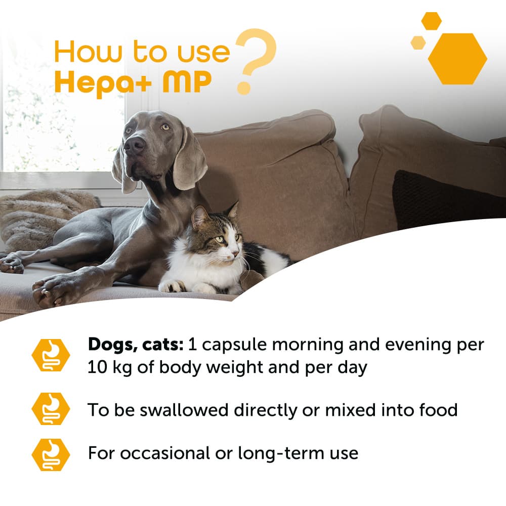 Hepa+® MP