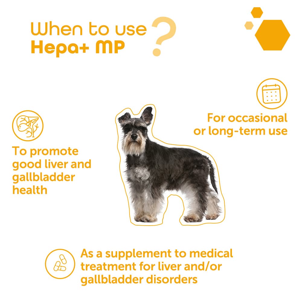 Hepa+® MP
