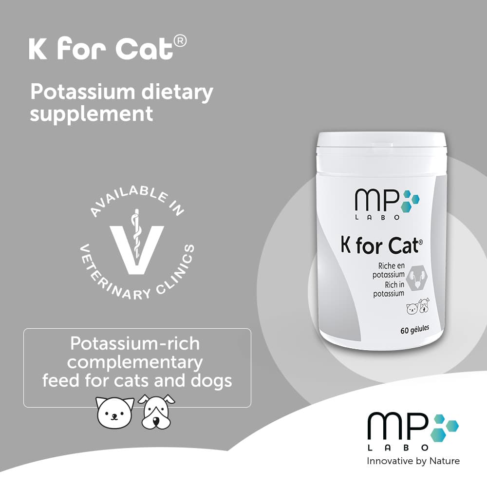 K for Cat®