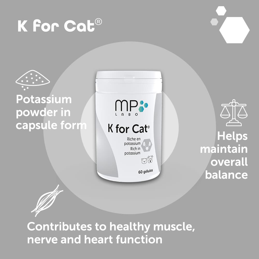 K for Cat®