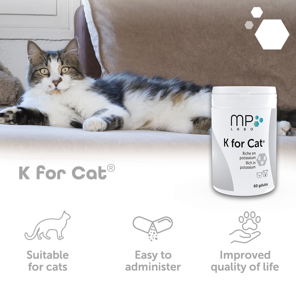 K for Cat®