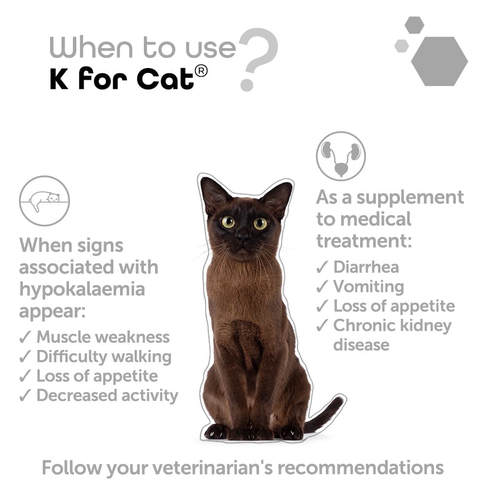 K for Cat®
