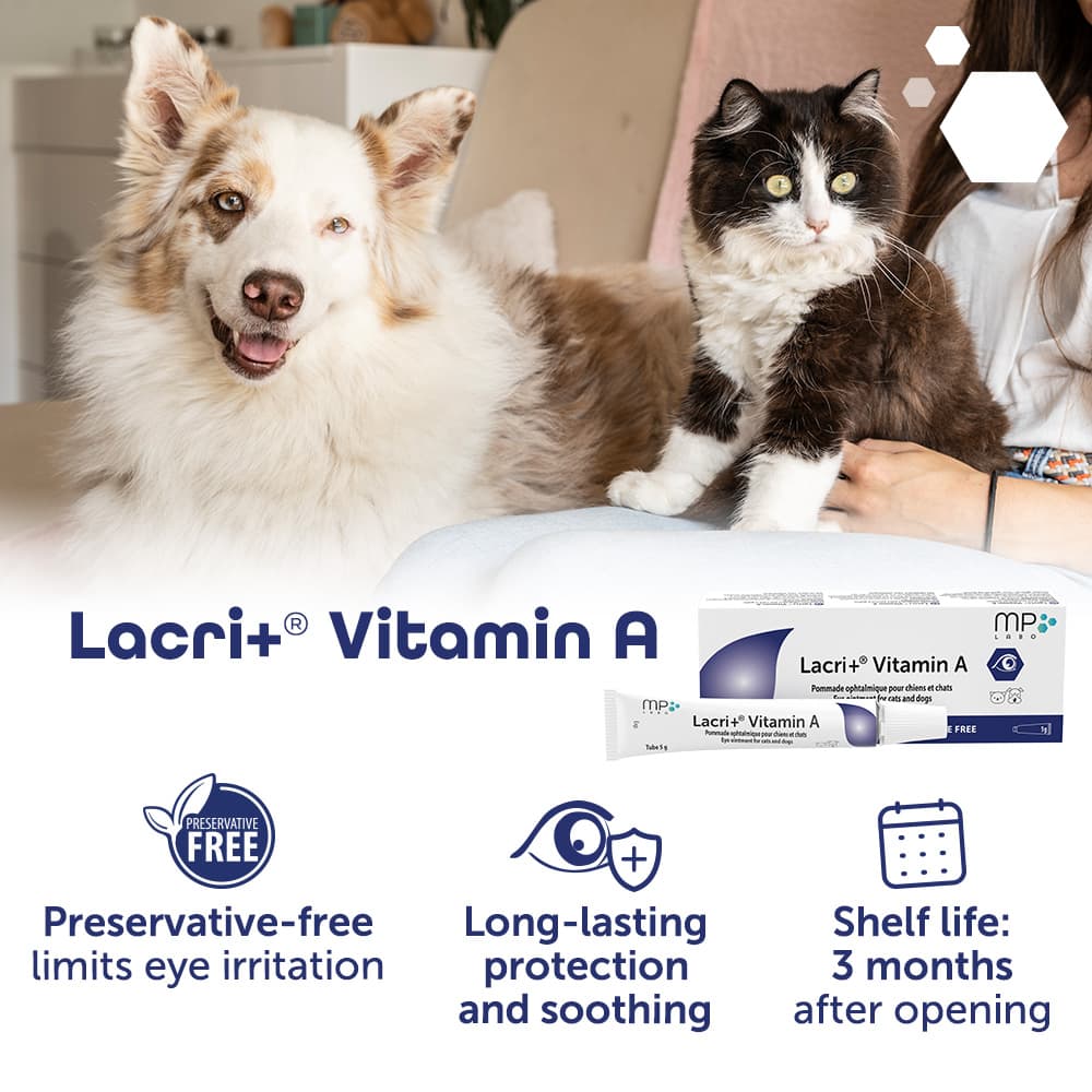 Lacri+® Vitamin A