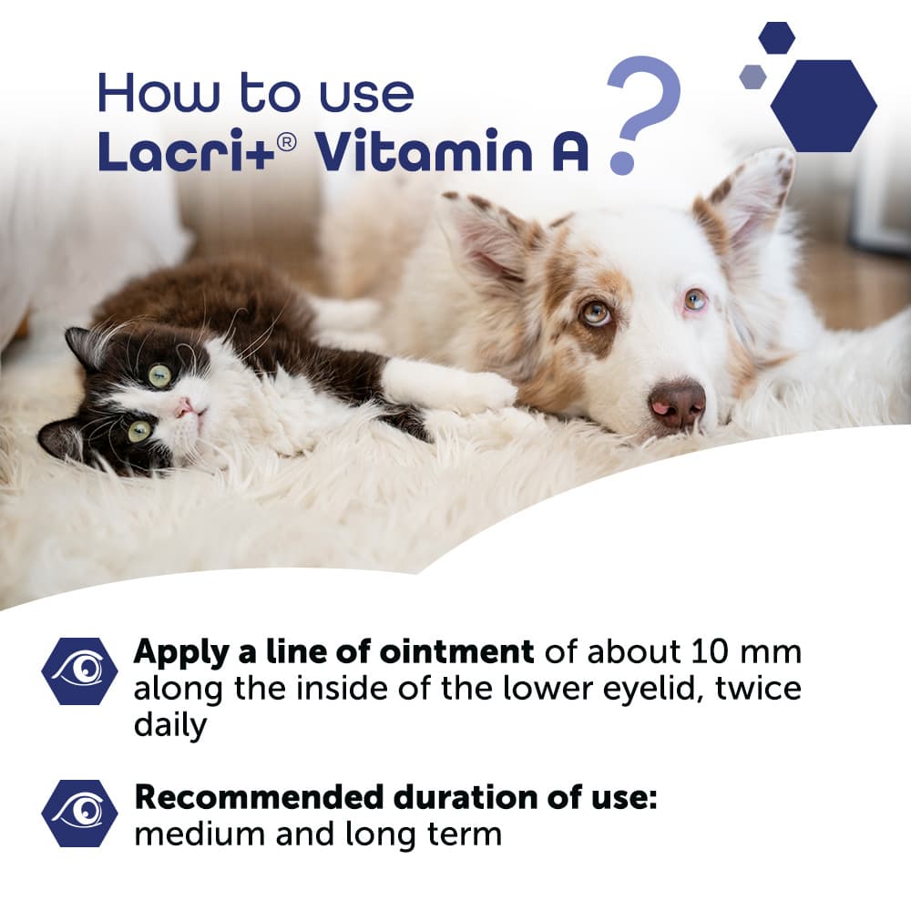 Lacri+® Vitamin A