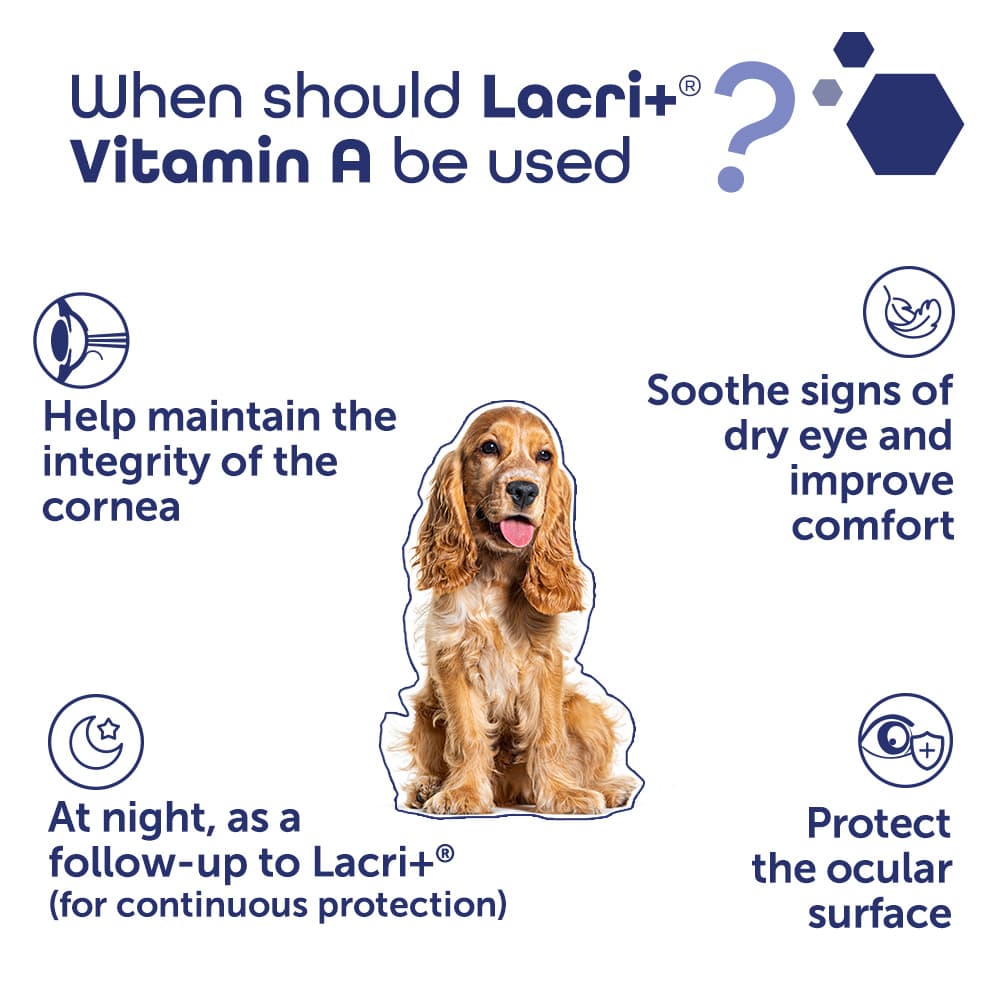 Lacri+® Vitamin A