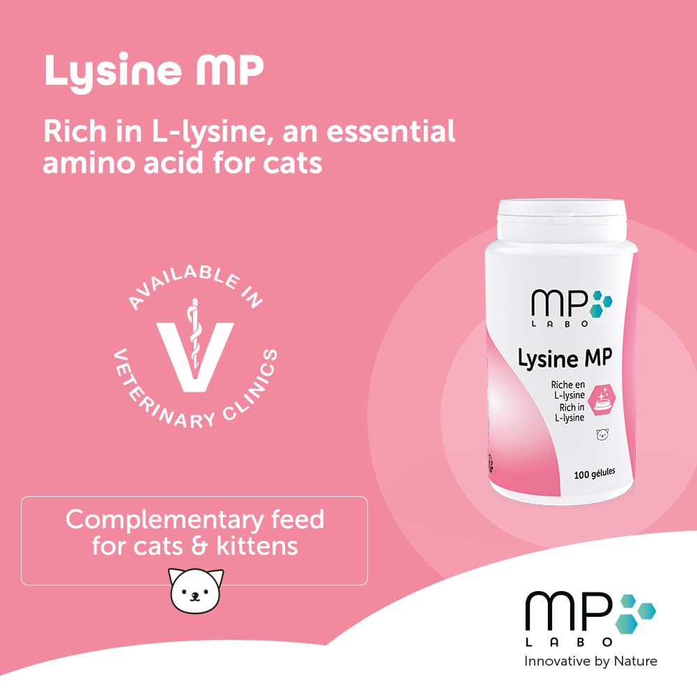 Lysine® MP