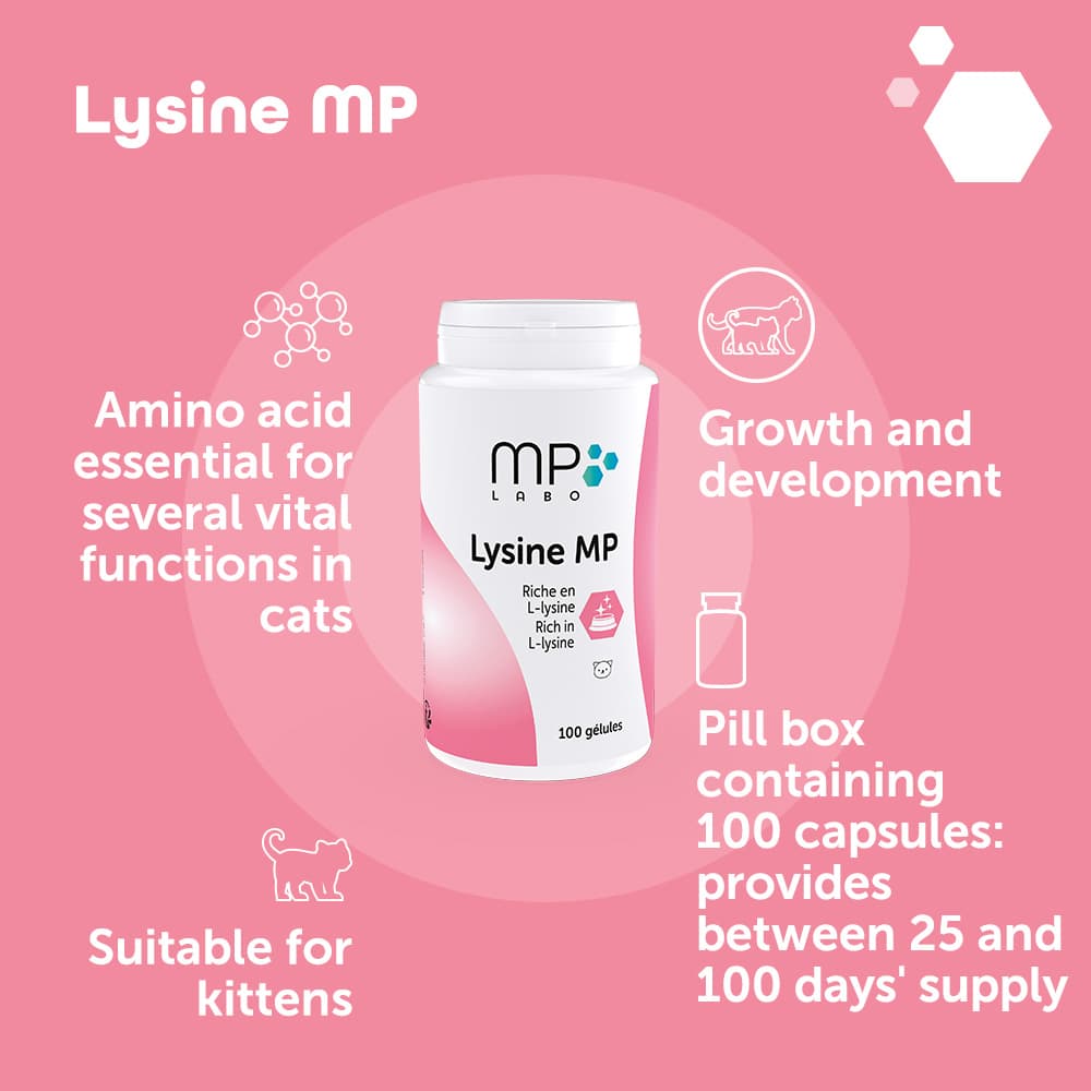 Lysine® MP
