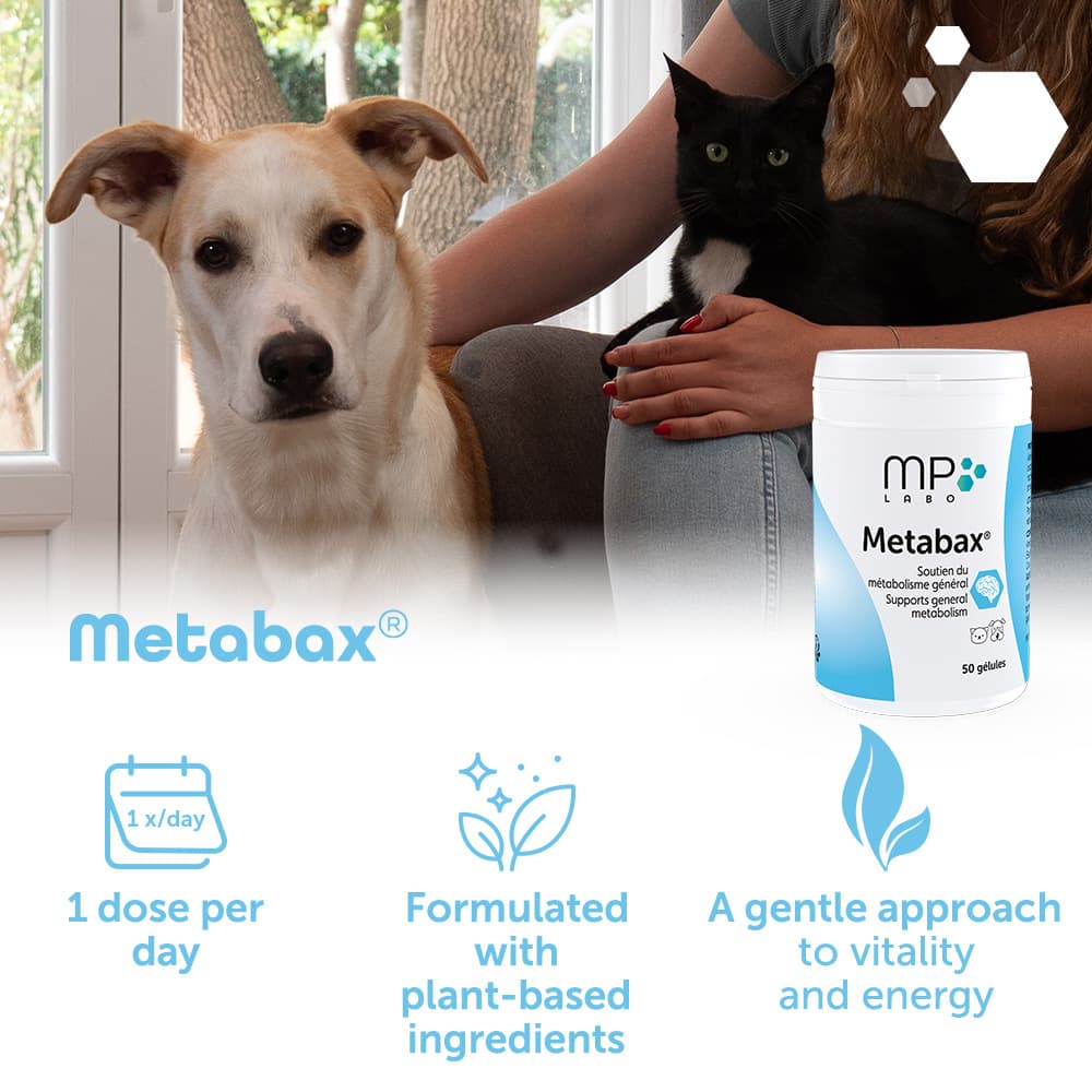 Metabax®