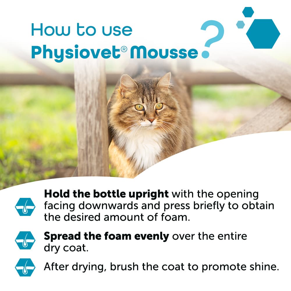 Physiovet® Foam