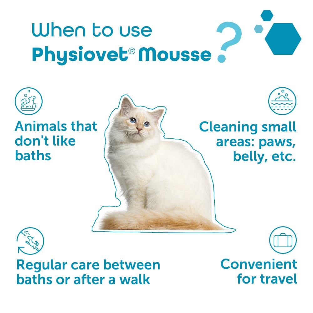 Physiovet® Foam
