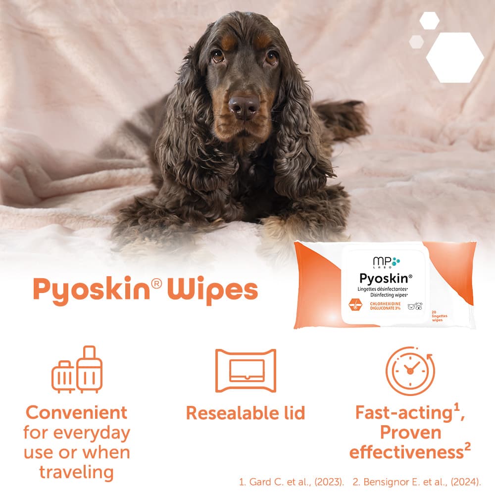 Pyoskin® Wipes