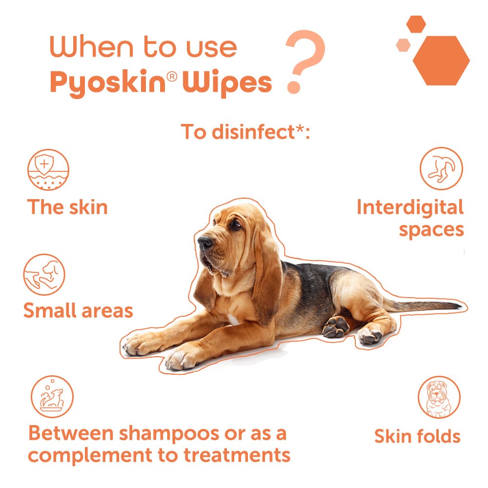 Pyoskin® Wipes