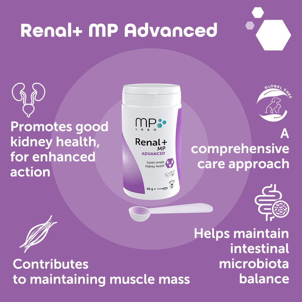 Renal+® MP Advanced
