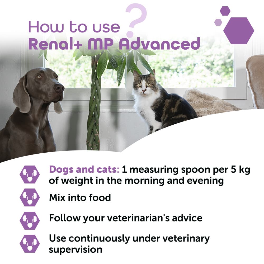 Renal+® MP Advanced